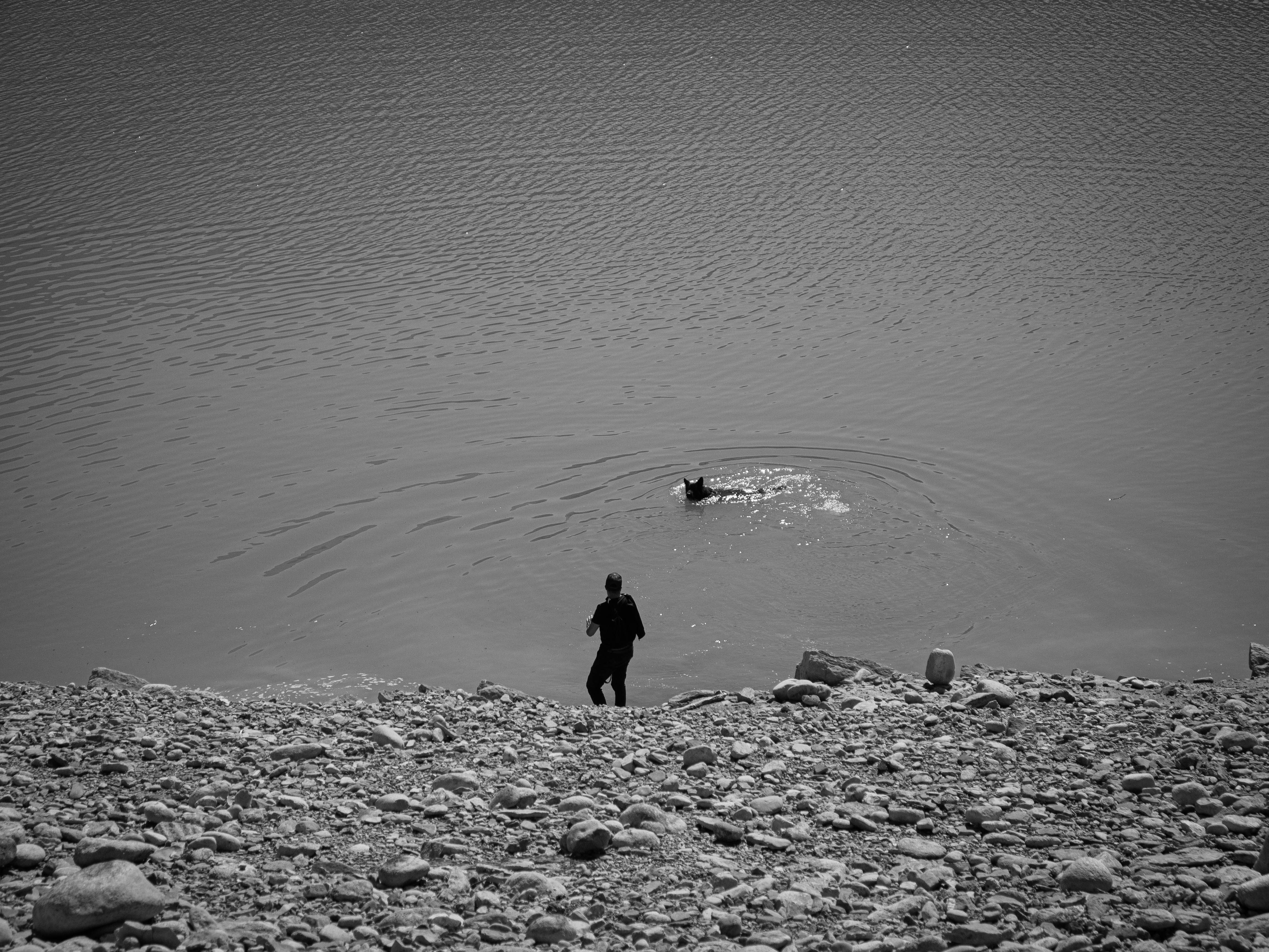 placeholder image sq