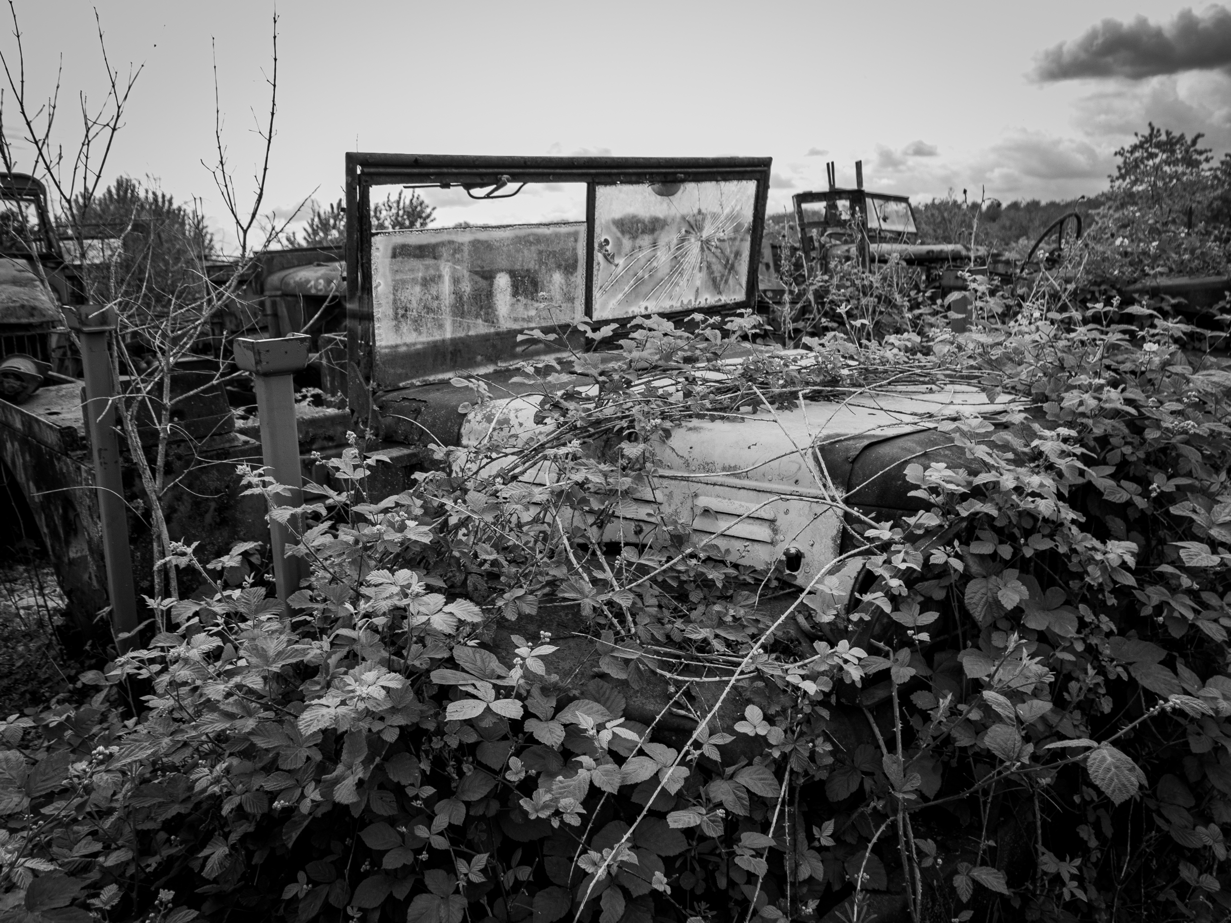 placeholder image sq