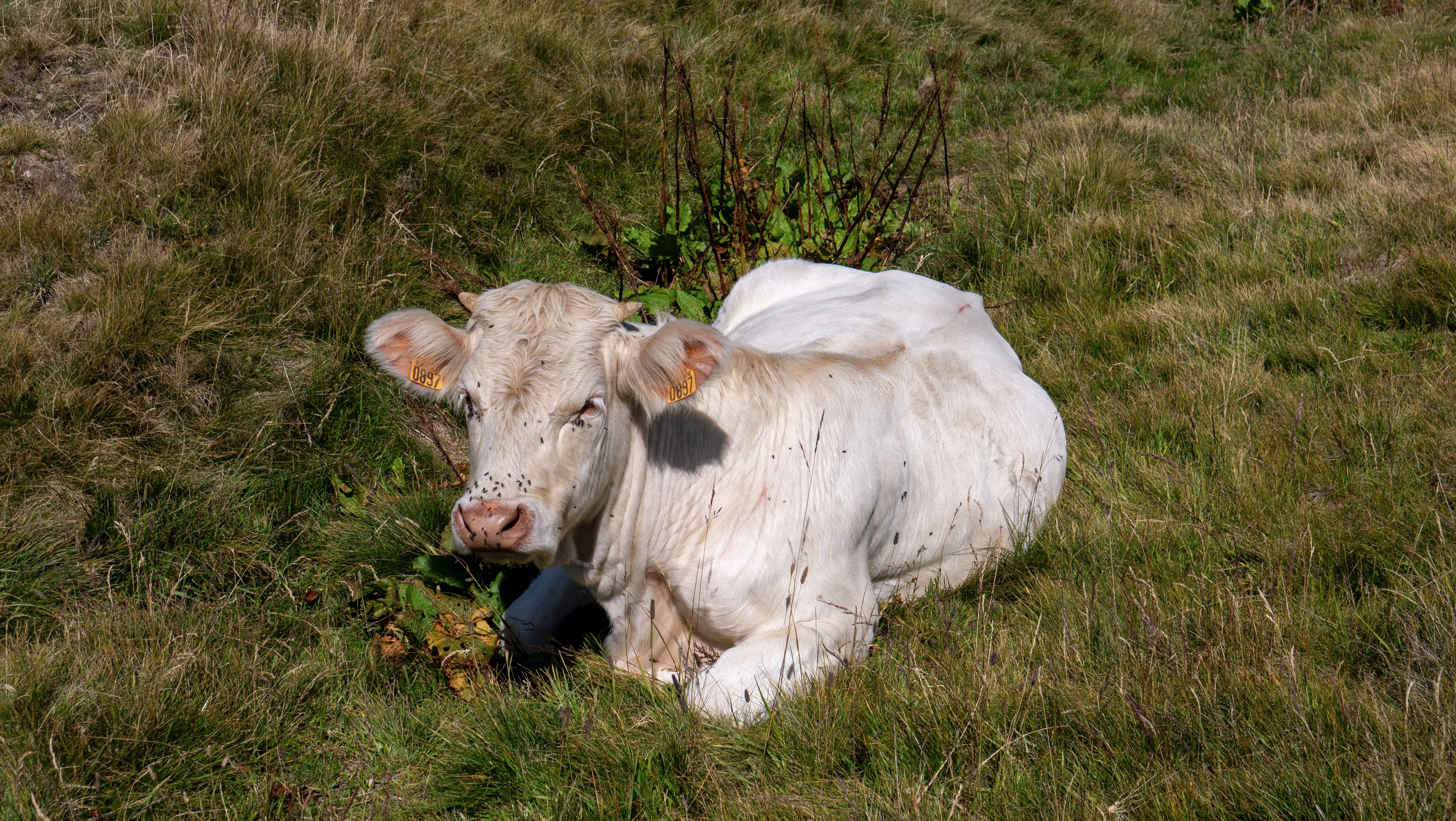 placeholder image sq